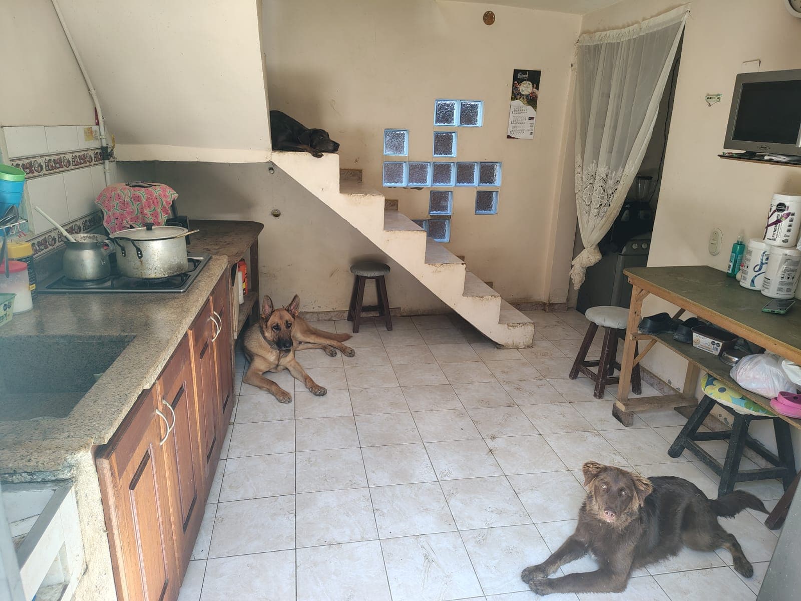 Property for Sale in Angelopolis, La Estación Neighborhood
