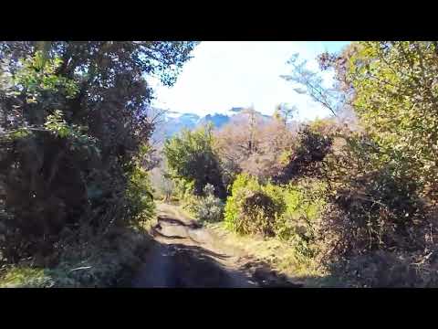 2,500 m² Lot for Sale - Section VI - Meliquina - San Martín de los Andes
