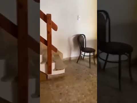 House for Sale in Caseros, Tres de Febrero