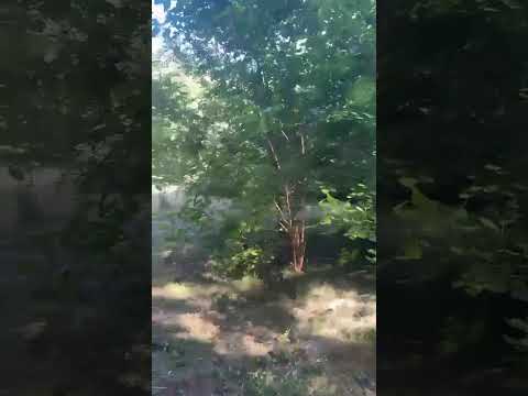 PREMIUM LAND FOR SALE IN LA CUMBRE