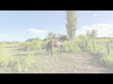 An incredible opportunity—land for sale in Lobos!