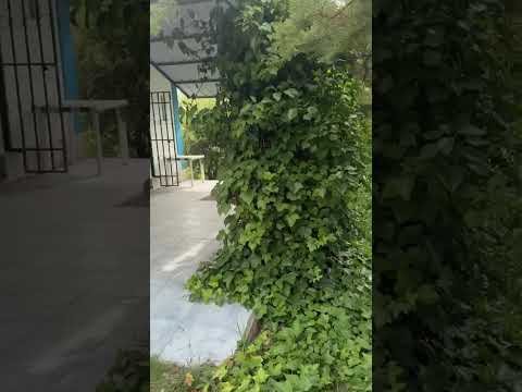GREAT DEAL ON A HOUSE IN VILLA GIARDINO