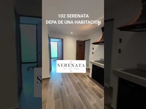 STUDIO FOR SALE IN PLAYA DEL CARMEN, TWO BLOCKS FROM THE BEACH