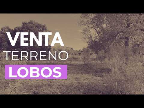 A unique opportunity to invest or build in one of the most sought-after areas of Lobos