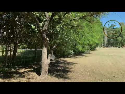 Land for Sale, 2,500 m² - Marcos Paz - Will Consider Trade