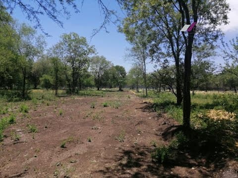 Residential Lots for Sale - NATIONAL HIGHWAY - Montemorelos, 1,500 m²
