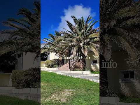 Inn for sale in Mina Clavero, 100 meters from the river | 8 bedrooms, each with a bathroom | Ideal investment