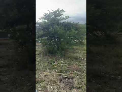 LAND FOR SALE IN THE CORDOBA MOUNTAINS, SUBDIVISION