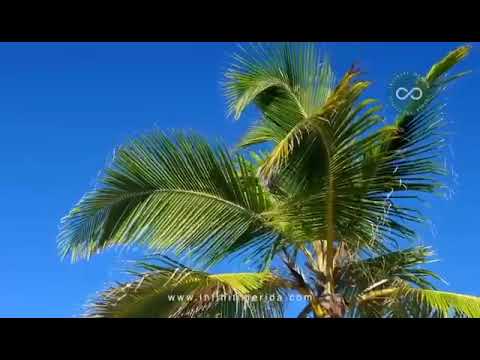 Apartment for sale in Montecristo, Mérida, Yucatán, at INFINITI MÉRIDA.