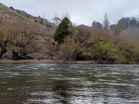 Farm for sale: 2 hectares with 532 meters of riverfront on the Limay River