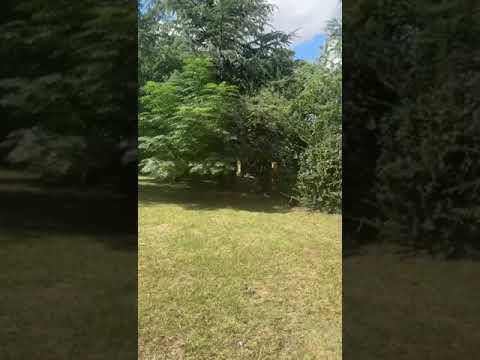 Country House for Sale in Bialet Masse, Investment