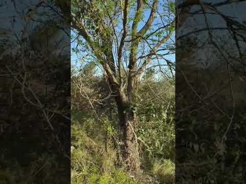 Land in Villa Giardino, a Great Opportunity in the Sierras