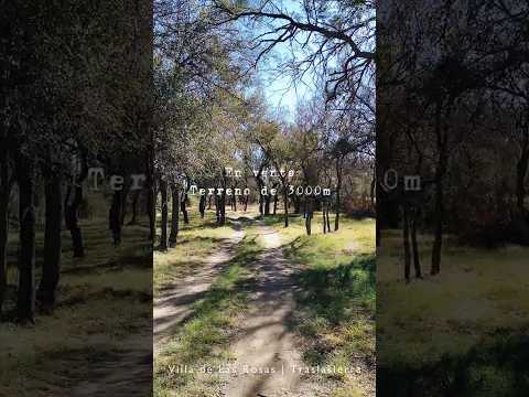 3,000 m² lot | Down payment of USD 8,000, balance to be agreed upon | Villa de Las Rosas