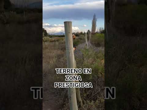 Land. Las Paredes. 1 ha.