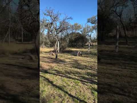 LAND FOR SALE IN VILLA GIARDINO—A GREAT OPPORTUNITY