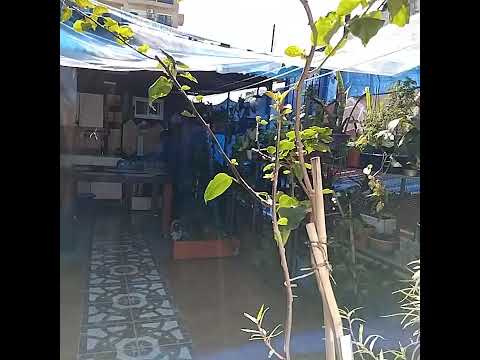 A 4-room apartment, renovated to look brand new, with a terrace and grill. No maintenance fees