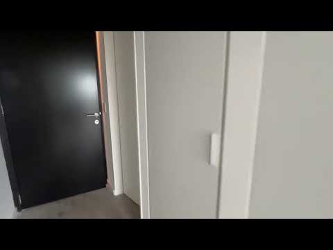 Apartment at Palmas Park Buenavista Suite & Office