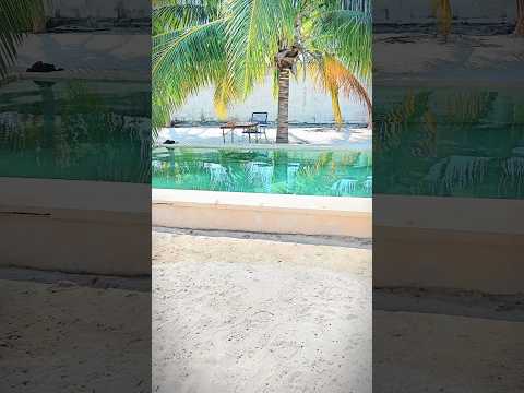 House on Chelem Beach, Yucatán