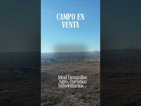 Exclusive Land for Sale in Tupungato