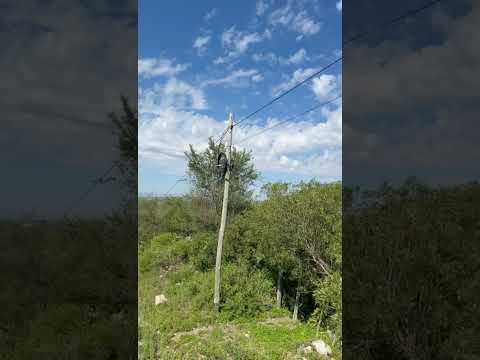 Land for sale in the Córdoba mountains