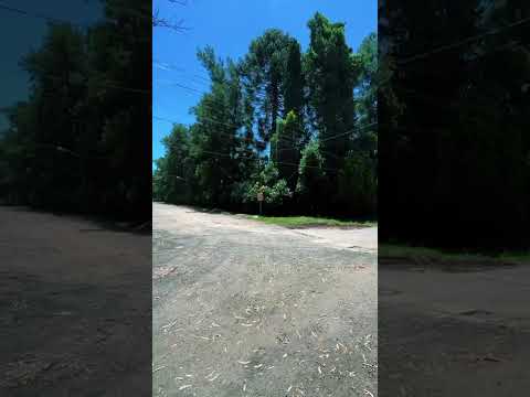 LAND FOR SALE: COUNTRY ESTATE in Ranelagh