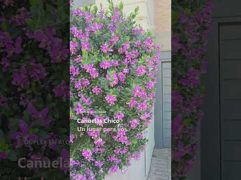 3-bedroom duplex for rent in Cañuelas Chico, with a patio and garage