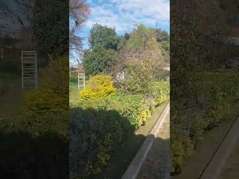 Land for Sale, Ideal for Development in Downtown Pilar