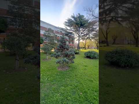 2-Bedroom Apartment for Rent in Antel Arena