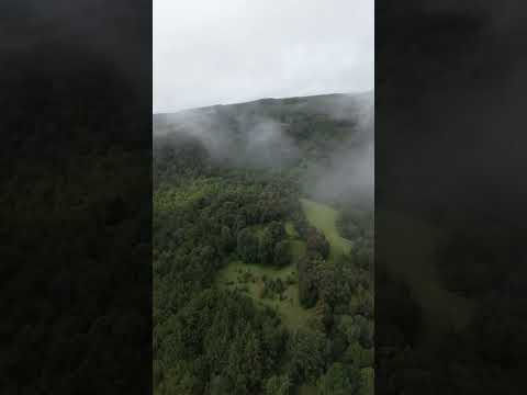 8 HECTARES FOR SALE IN LAS VIGAS, RAMÍREZ, VERACRUZ
