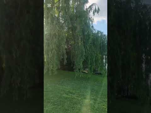 House for Sale in AL AGUA - San Francisco Villanueva