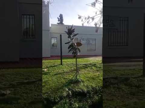 House in Ciudadela
