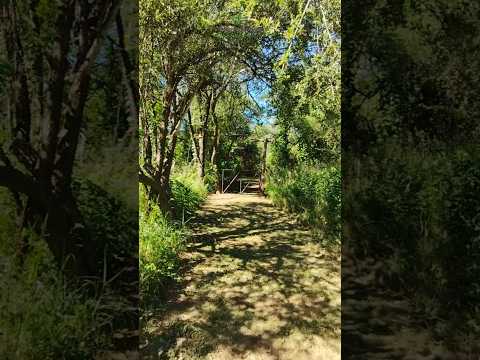 3,900 m² Lot | Deed | Utilities | Villa de Las Rosas