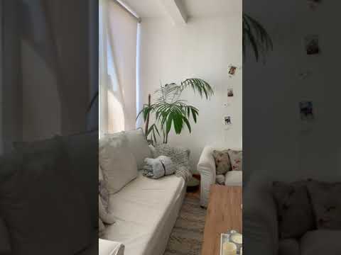 Spacious 2-room apartment in Belgrano Barrancas