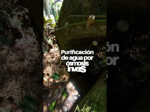 Land for Sale in Consolapan, Coatepec, Veracruz—Briones Area, Campestre Residential Community
