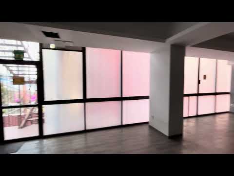 Office for Rent - Ejército Nacional, 2nd Floor - 335 m2