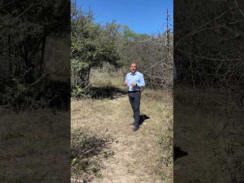 LAND FOR SALE IN LA FALDA—BARGAIN OPPORTUNITY