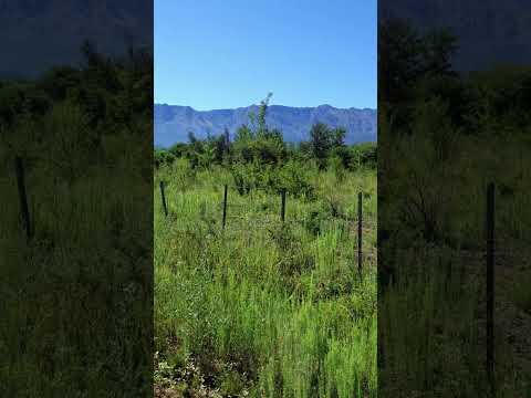 Lots with Sweeping Views of the Mountains | Las Calles, Nono | 9,000 m² and 1.5 ha | Deed