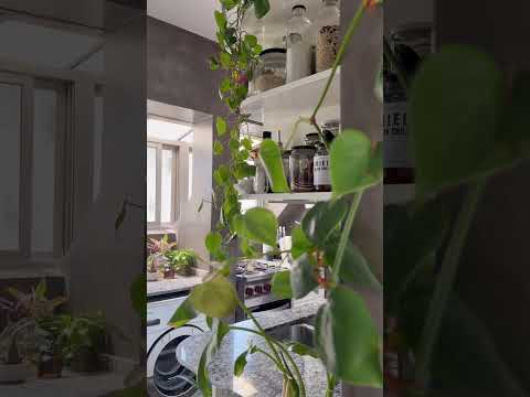 Spacious and Bright 3-Room Apartment in Belgrano – 8th Floor