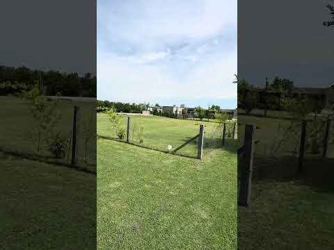 Central Corner Lot in the Belleville Gated Community (Canning)
