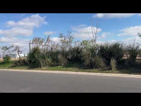 Lot in the Puertos del Lago Nativas Neighborhood
