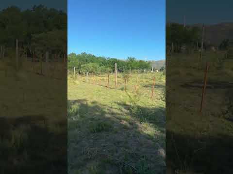 Land FOR SALE IN VILLA GIARDINO