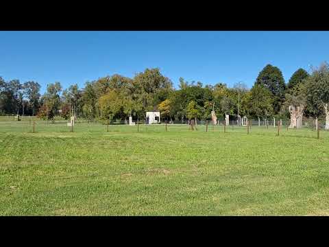 LAND FOR SALE IN LA VIKKINA, EL PATO
