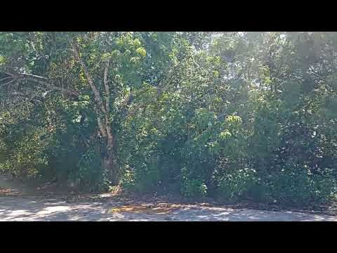 Land for Sale at Cruz de Servicios on Chemuyil Avenue