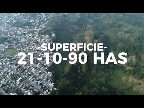 Ranch for Sale in Tlapacoyan, Veracruz: 21 hectares with utility connections available
