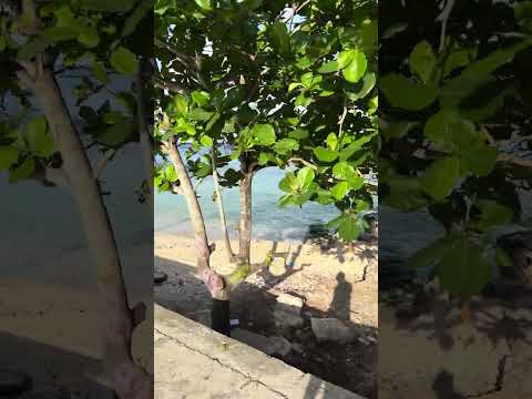 For Sale, Apartment, Cozumel, Mexico