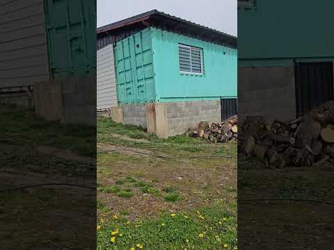 House for Sale in Ñirihuau