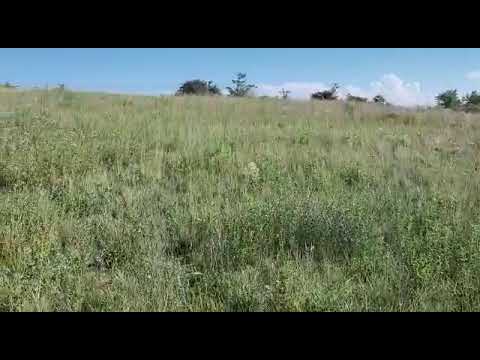 Land for Sale in Villa Giardino, Sierras de Córdoba—A Great Opportunity
