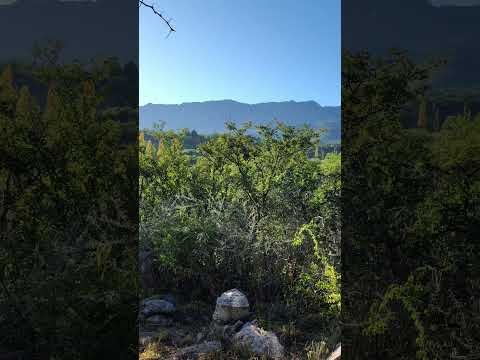 8,772 m² Lot on a Highway in Los Hornillos | Deed | Ideal for Tourism or Commercial Development
