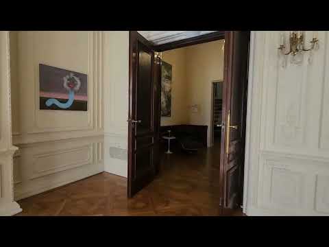 Exclusive and One-of-a-Kind Apartment Suitable for Professionals