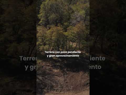 FOR SALE: 600 M2 LOT - ALTOS DE KALEUCHE - SAN MARTIN DE LOS ANDES